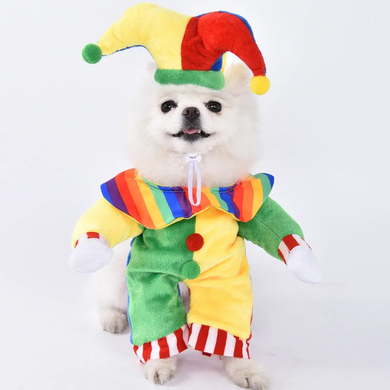 Halloween dog costume selection showing bat, clown, devil, and pumpkin designs for dogs.