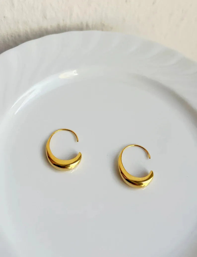 Gold and silver snake design alloy earrings with electroplated finish
