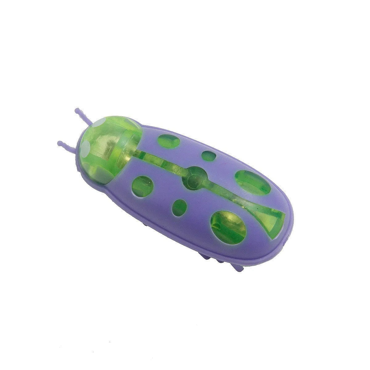 Electric jumping insect cat teaser toy in ladybug style red and black colour variation