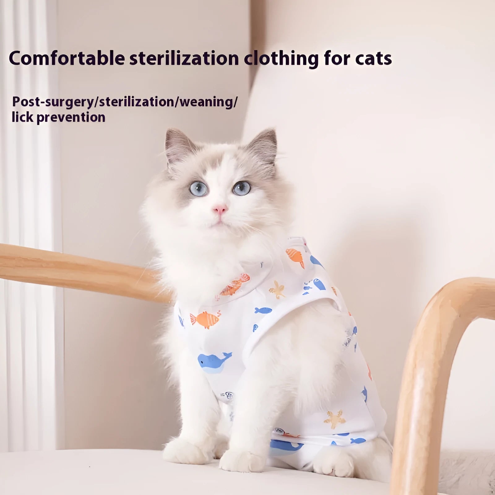 Cat wearing post-operative sterilisation suit with Velcro closure in multiple size options