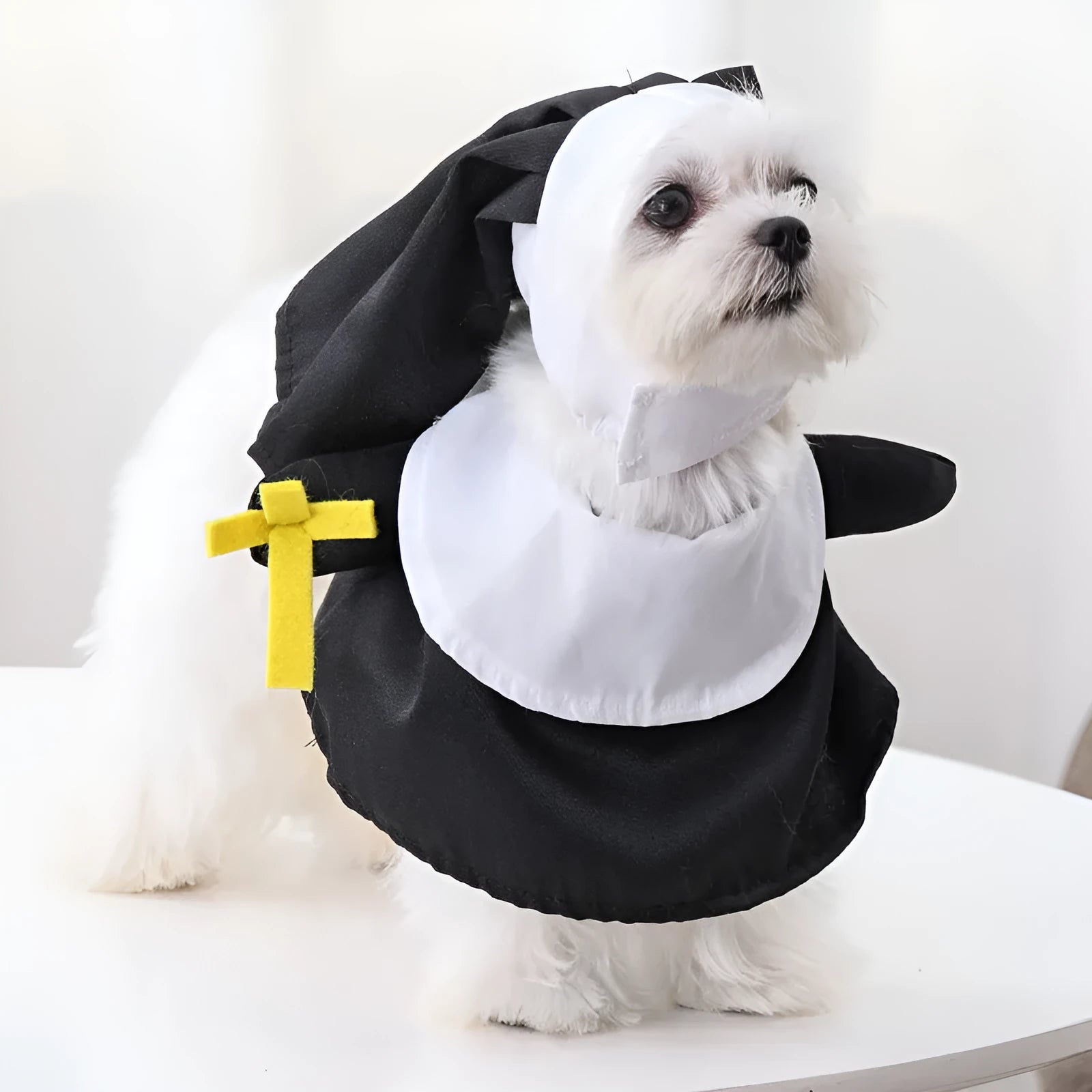 Black nun Halloween costume on small dog with complete outfit including headpiece