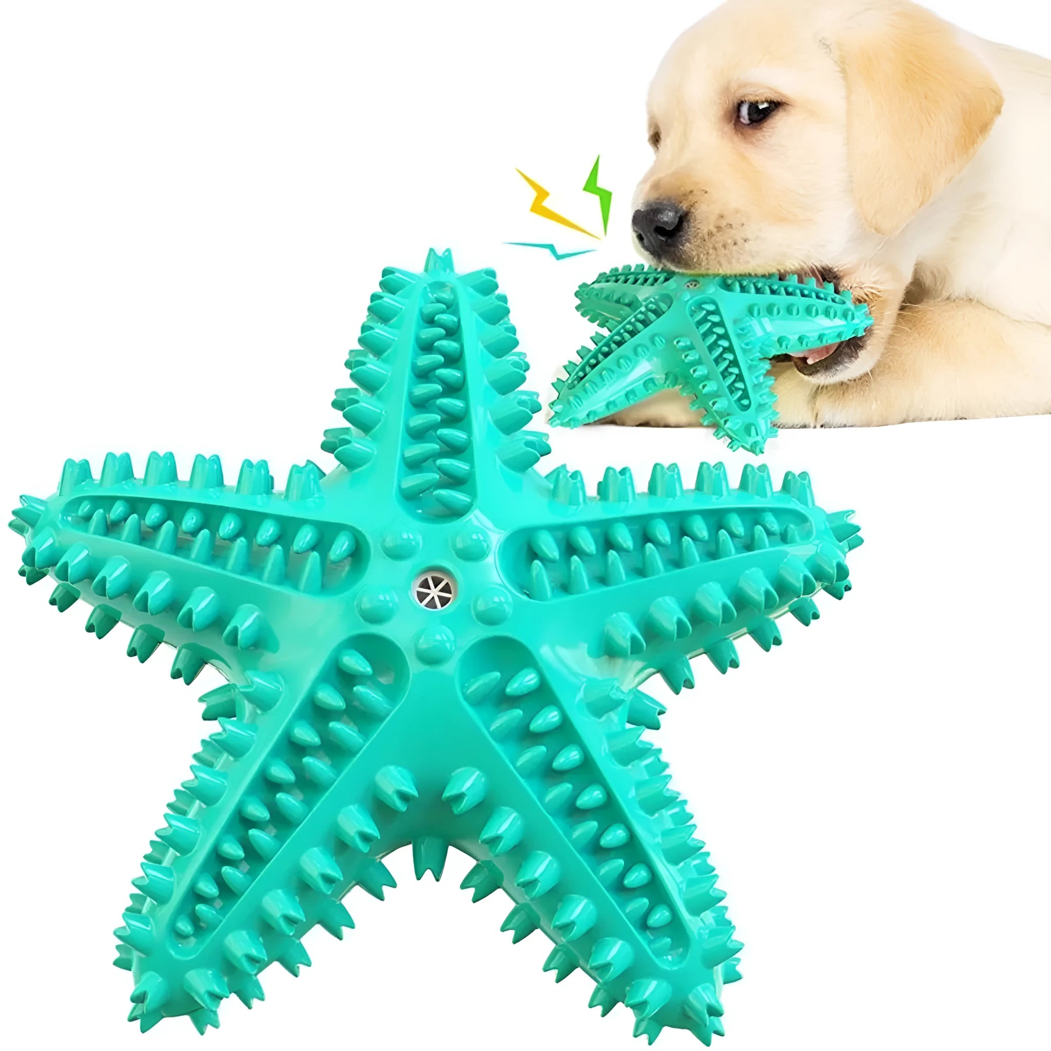 Blue starfish-shaped TPR dog chew toy with textured surfaces for dental cleaning