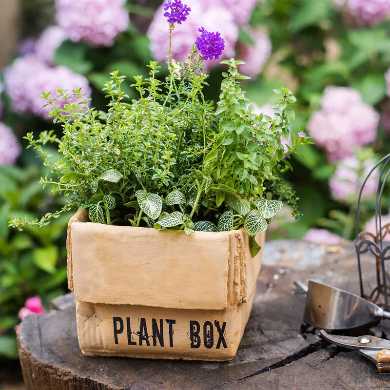 Cement flowerpot with perforated base and Nordic brown paper box design