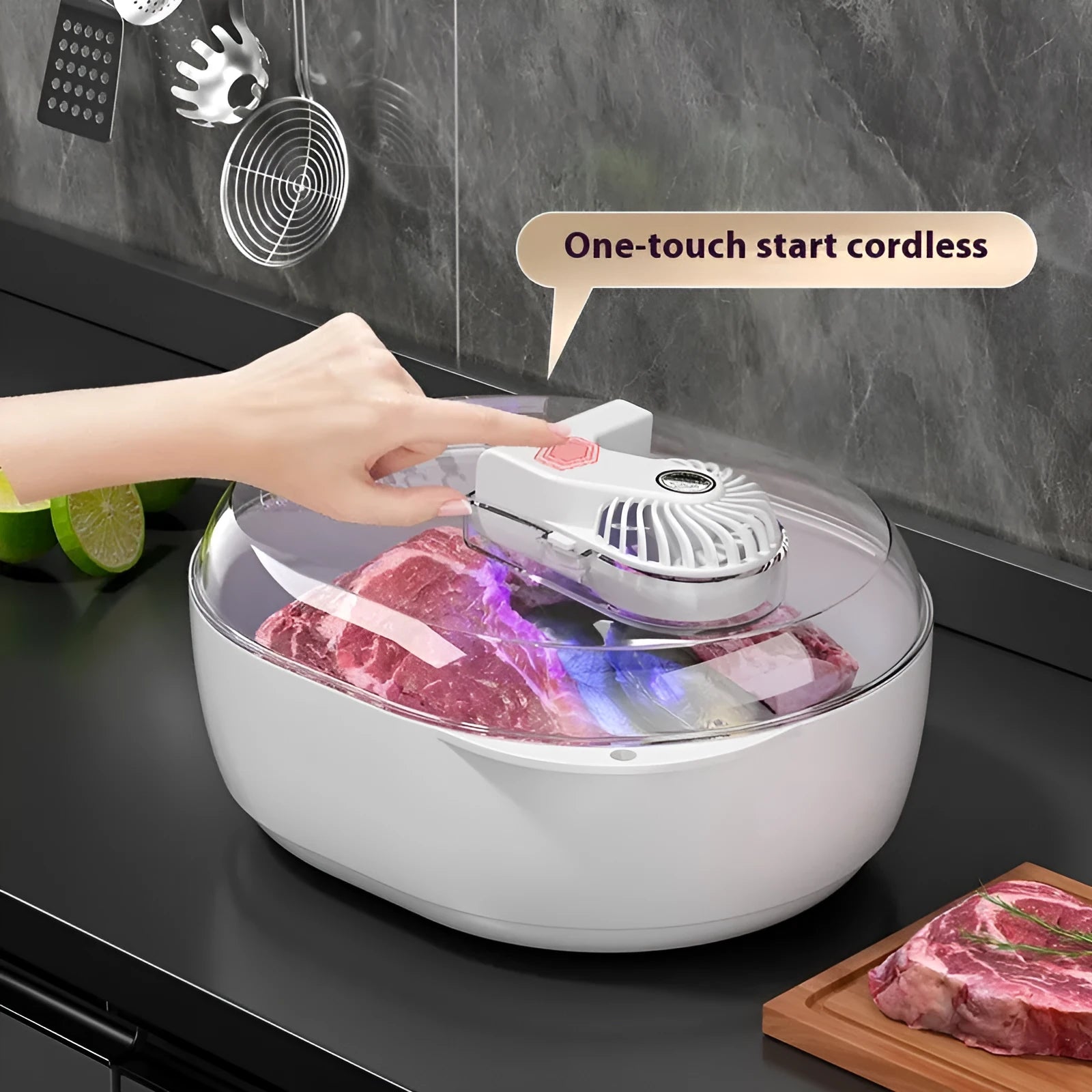 Aluminium quick defrosting plate for food on a kitchen worktop.