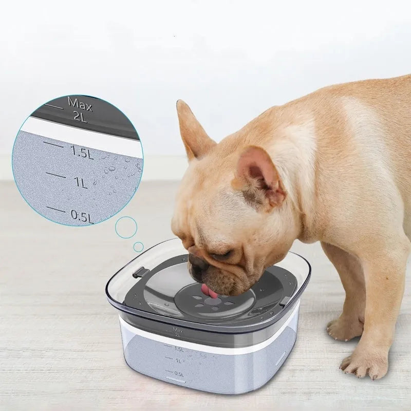 Transparent plastic pet water bowl with floating disc showing water level and non-slip base