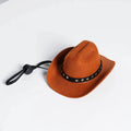 Wool felt pet hat in beige with conical shape, available in S and M sizes
