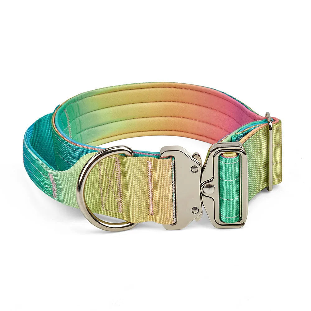 Nylon gradient pet collar and leash set in blue and purple on a white background