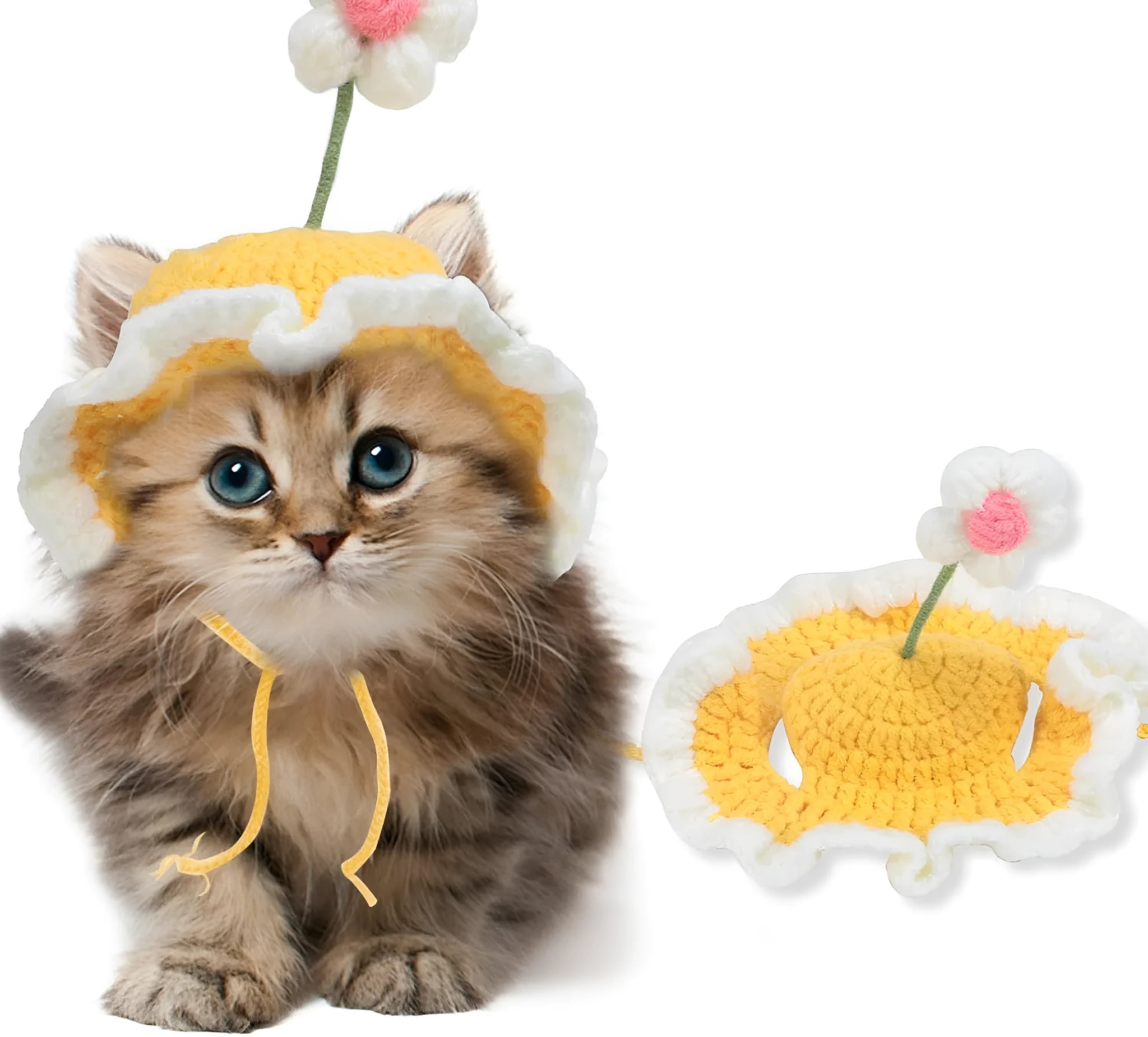 Green knitted cat hat with cartoon design on a small dog, showing soft fabric.