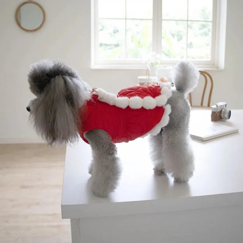 Red Chinese-style pet clothing with thick faux fur collar and decorative knot detail