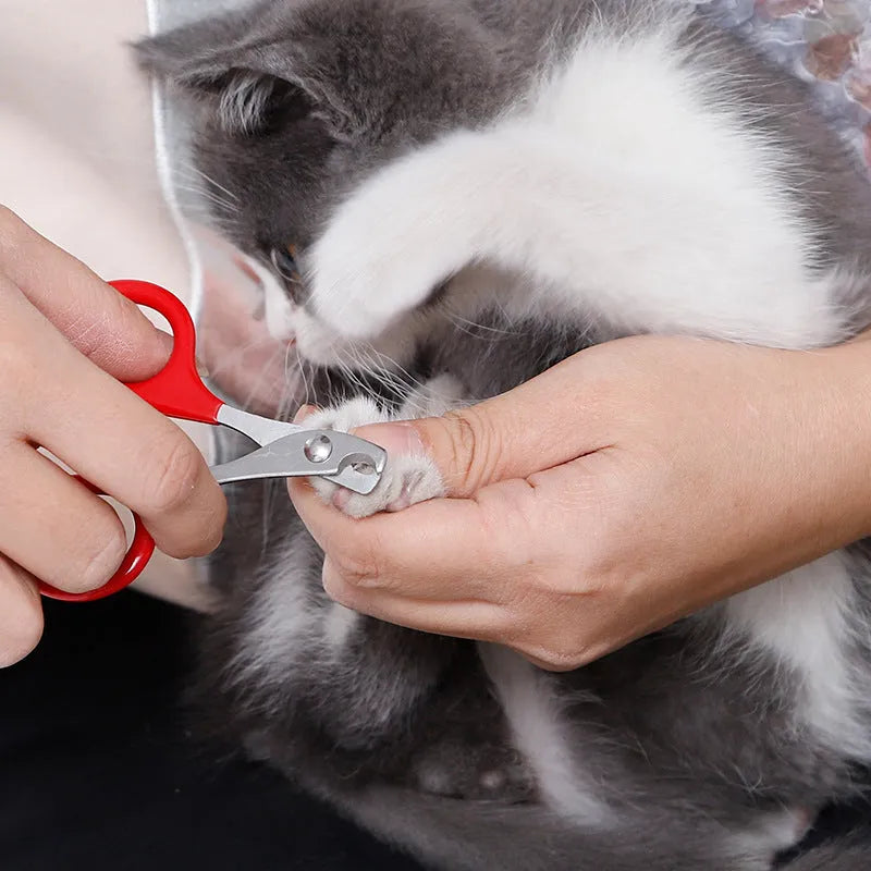 Pet nail clippers with stainless steel blades and coloured plastic and rubber handle