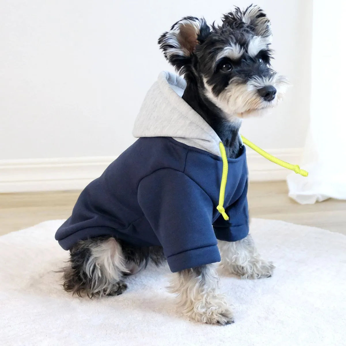 Dark red polyester hooded pullover for dogs with British-style hoodie design