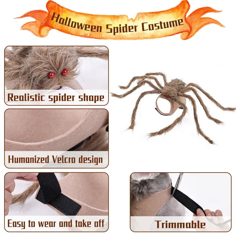 Halloween spider costume for pets in polyester fabric with S M L sizing options