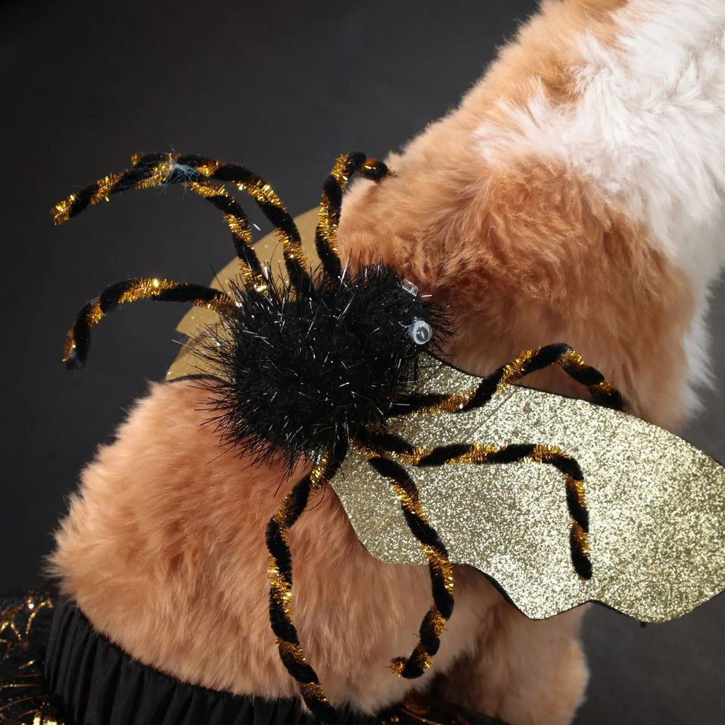 Suit-colour Halloween dog costume shown in S, M, L, and XL sizes for small to large breed pets