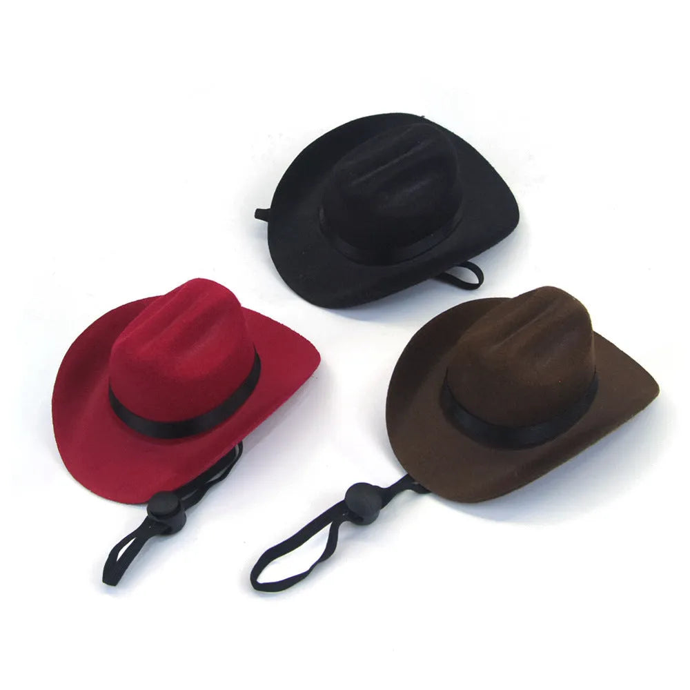 Adjustable dog wearing brown cowboy hat with rounded brim for pet photography