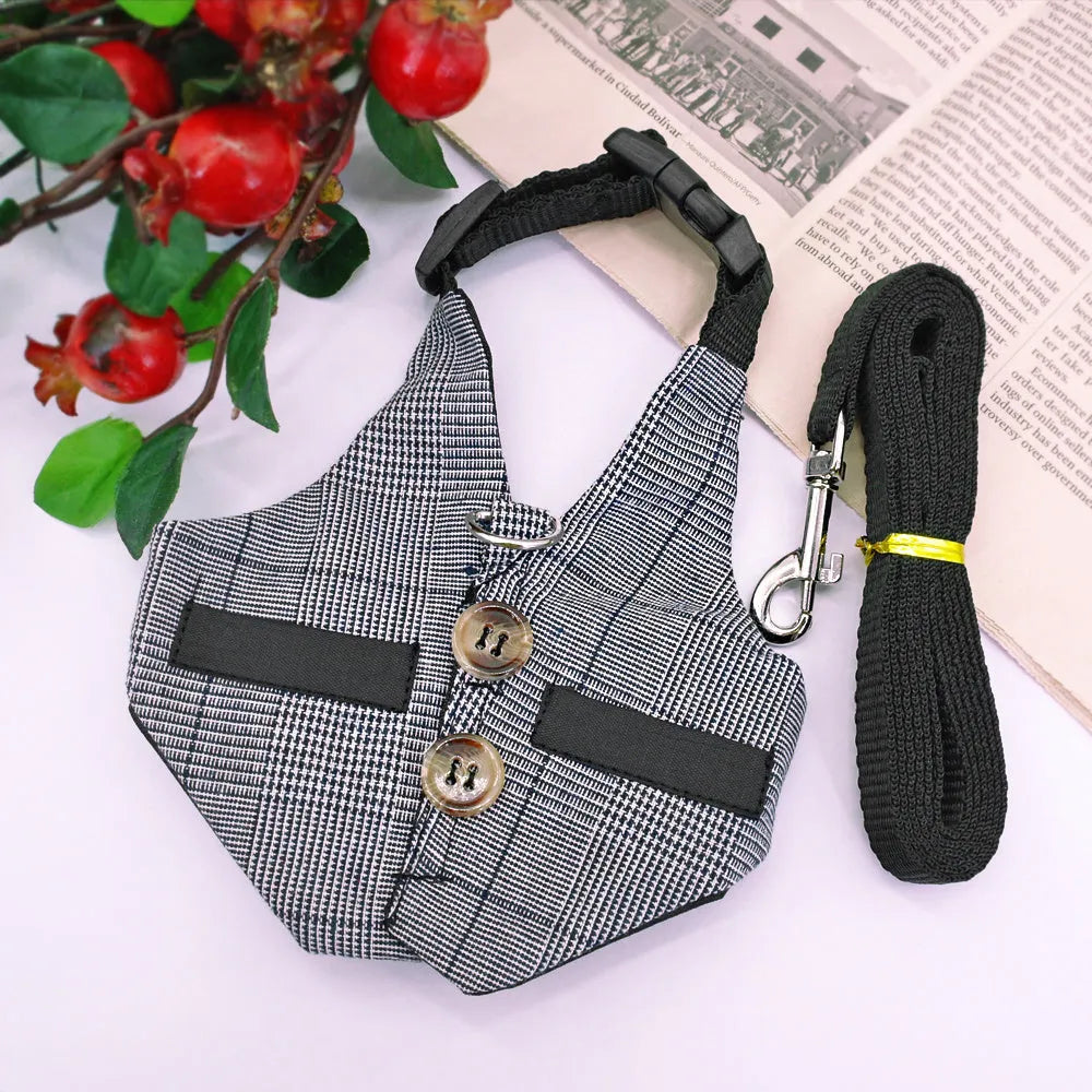 Grey rabbit leash and dress chest harness set on small pet, sizes S M L available