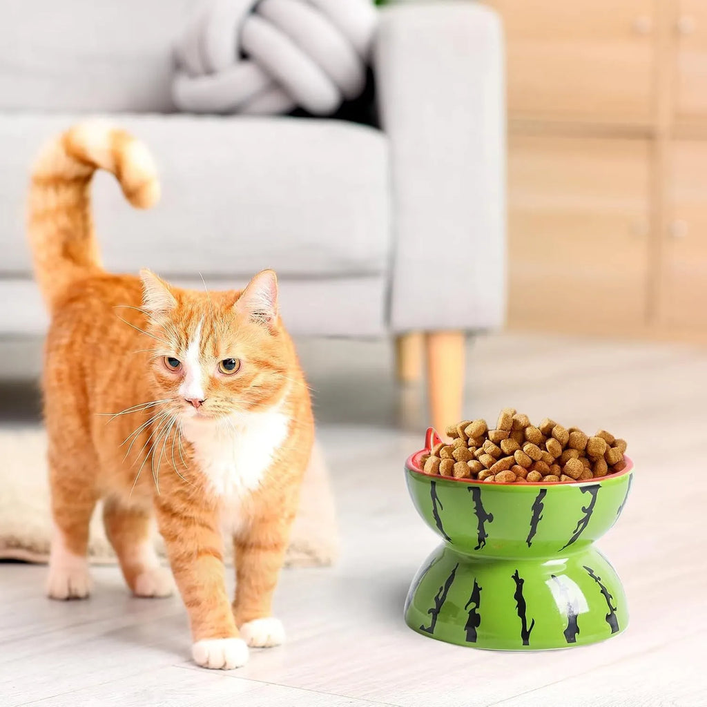 Ceramic elevated cat bowl with tilted orange fruit pattern and non-slip base.