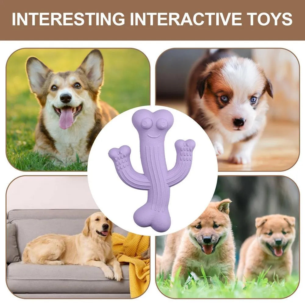 Beige, blue, and purple cactus-shaped dog chew toy made from bamboo fibre and rubber, shown in small and large sizes.