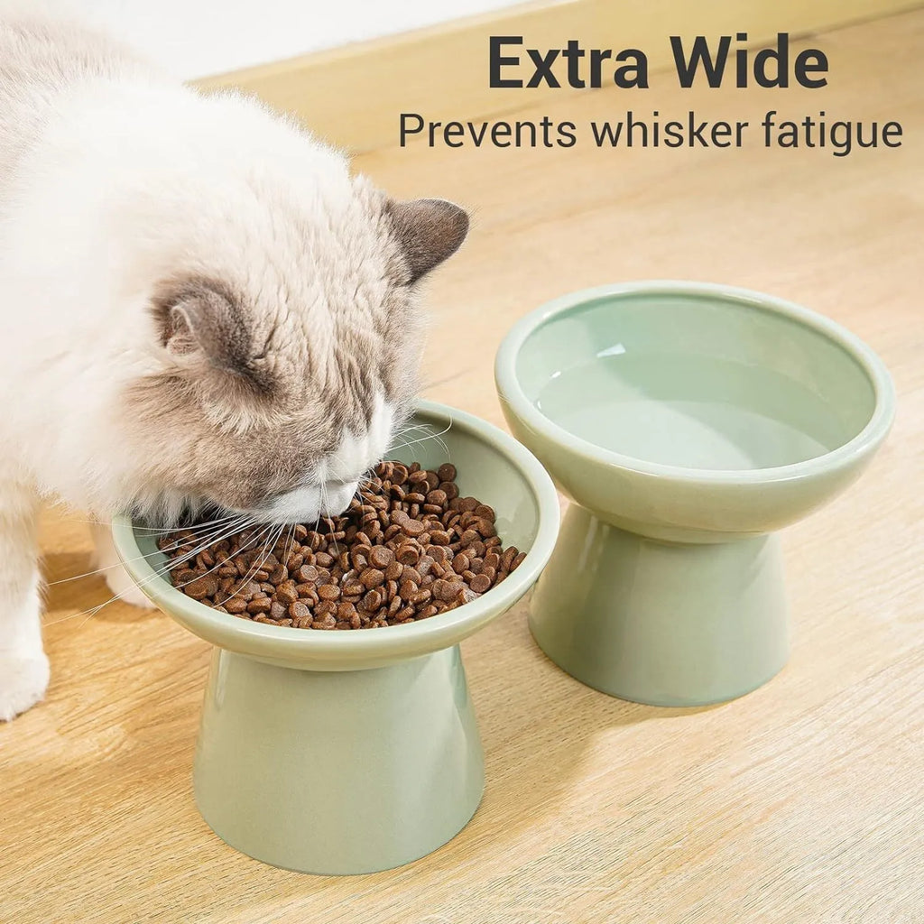 Ceramic elevated cat food bowl with wide shallow design in blue colour
