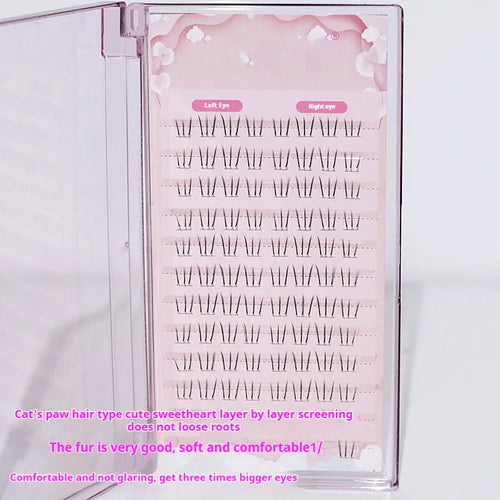 12-row segmented false eyelashes with sheer root and mixed 4-5-6mm lengths on a white background.