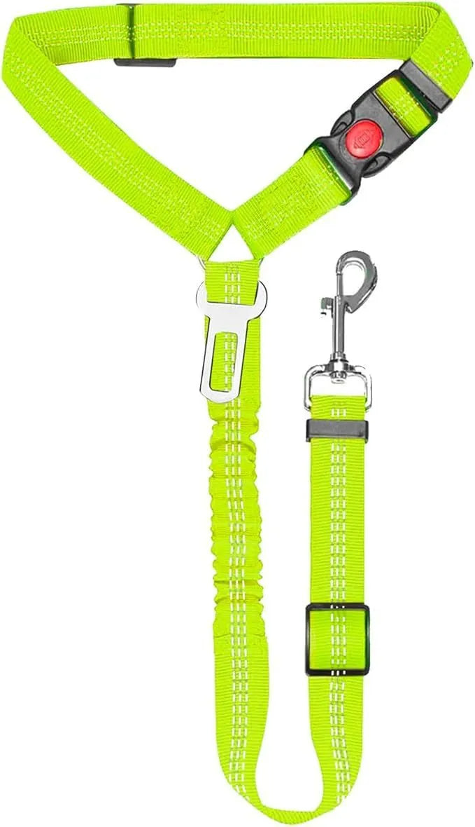 Nylon dog leash with metal buckle in multiple colour options including Army Green, Black, Blue, and Pink