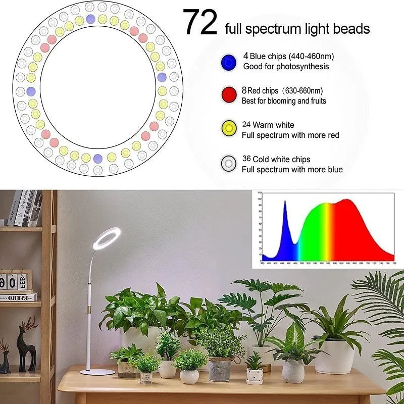 6-inch Angel Ring LED plant grow light on a tall, adjustable aluminium floor stand.