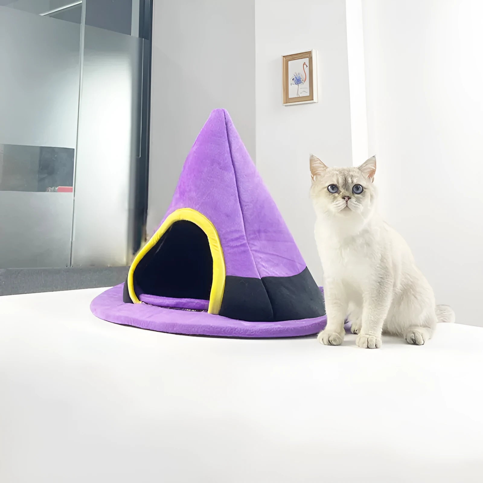 Purple Halloween witch hat shaped cat bed for pets, measuring 60cm by 45cm