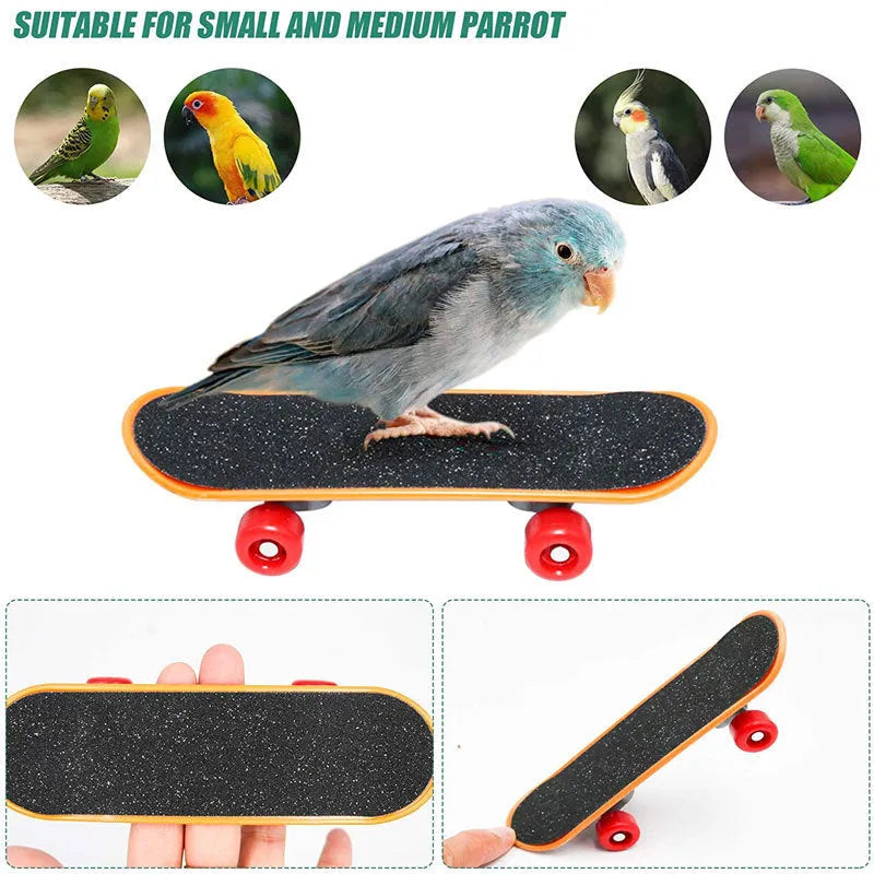 Wooden parrot puzzle training toys for birds in three set configurations
