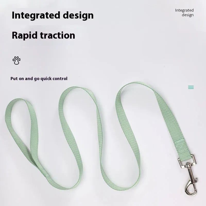 Solid colour polyester dog lead showing loop handle and single rope in one of twelve available colours.