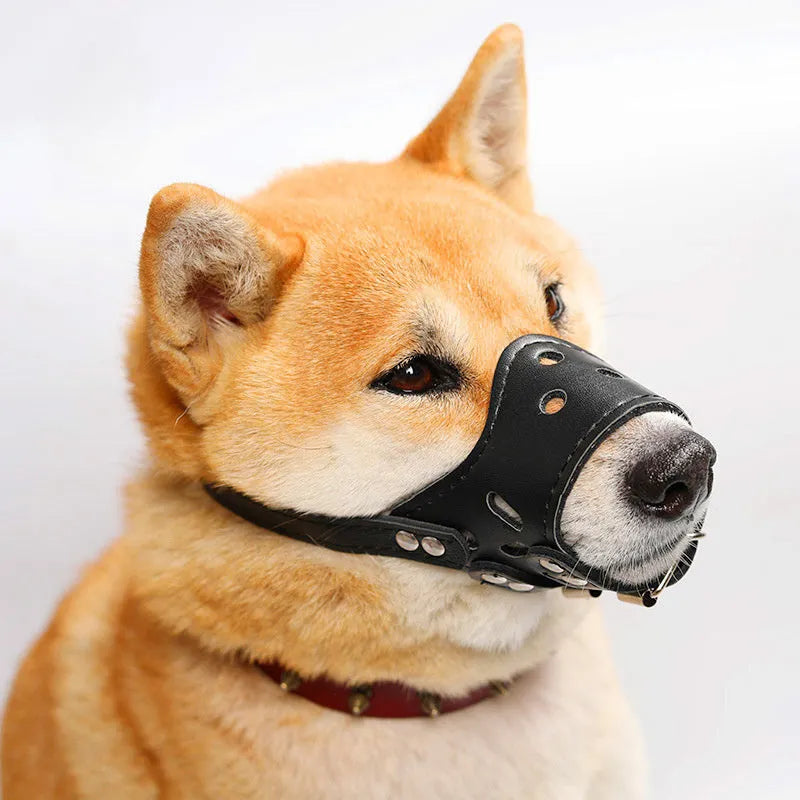Black adjustable dog muzzle cover shown on a Golden Retriever for anti-barking and bite prevention training.