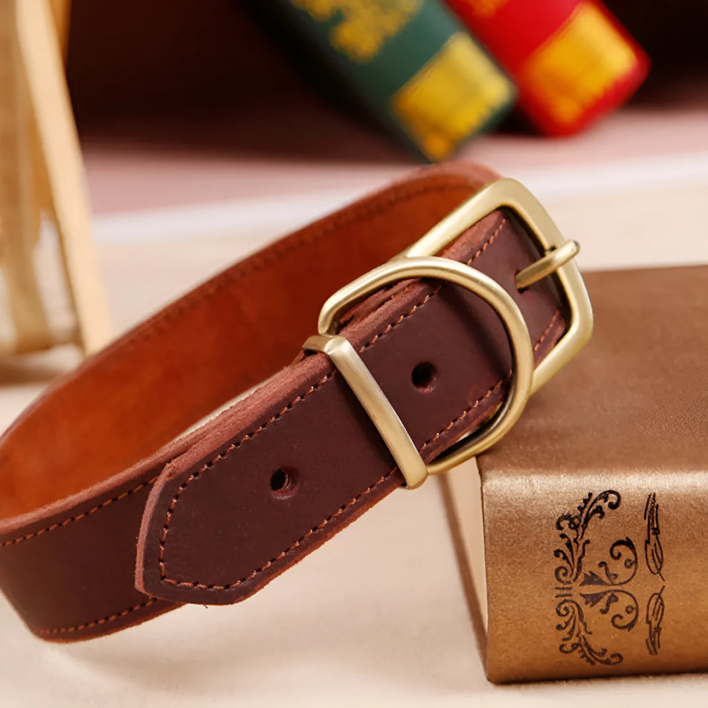Cowhide dog collar in original leather colour with buckle, six sizes from 24CM to 65CM
