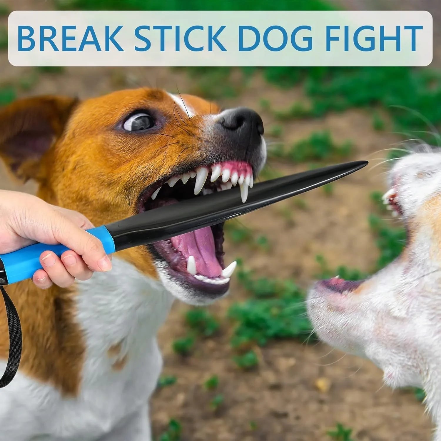 Blue handled nylon dog break stick training tool for small and medium dogs.