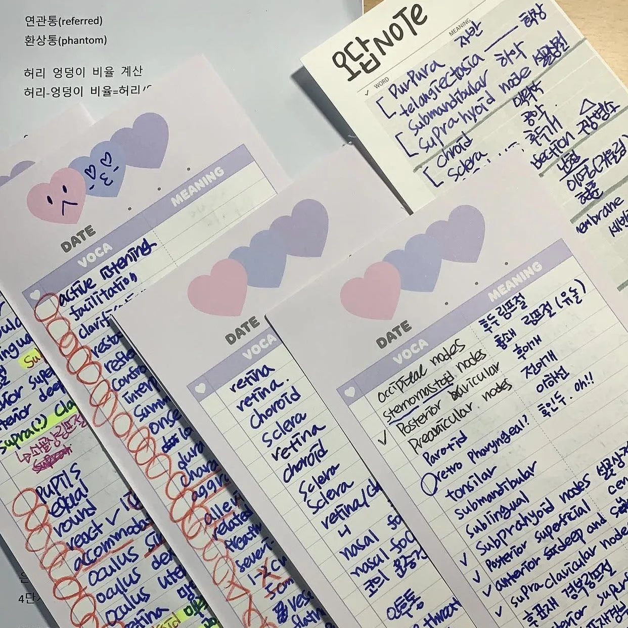 B5 half-size notepad with English word printing, available in blue, pink, or purple cover colours