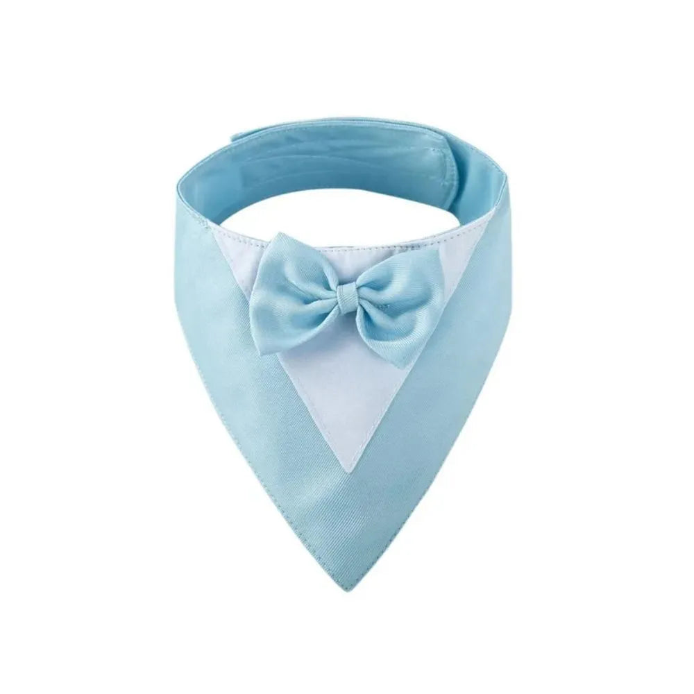 A dog wearing a light blue triangle-shaped bib scarf with white lace trim and a central bow.