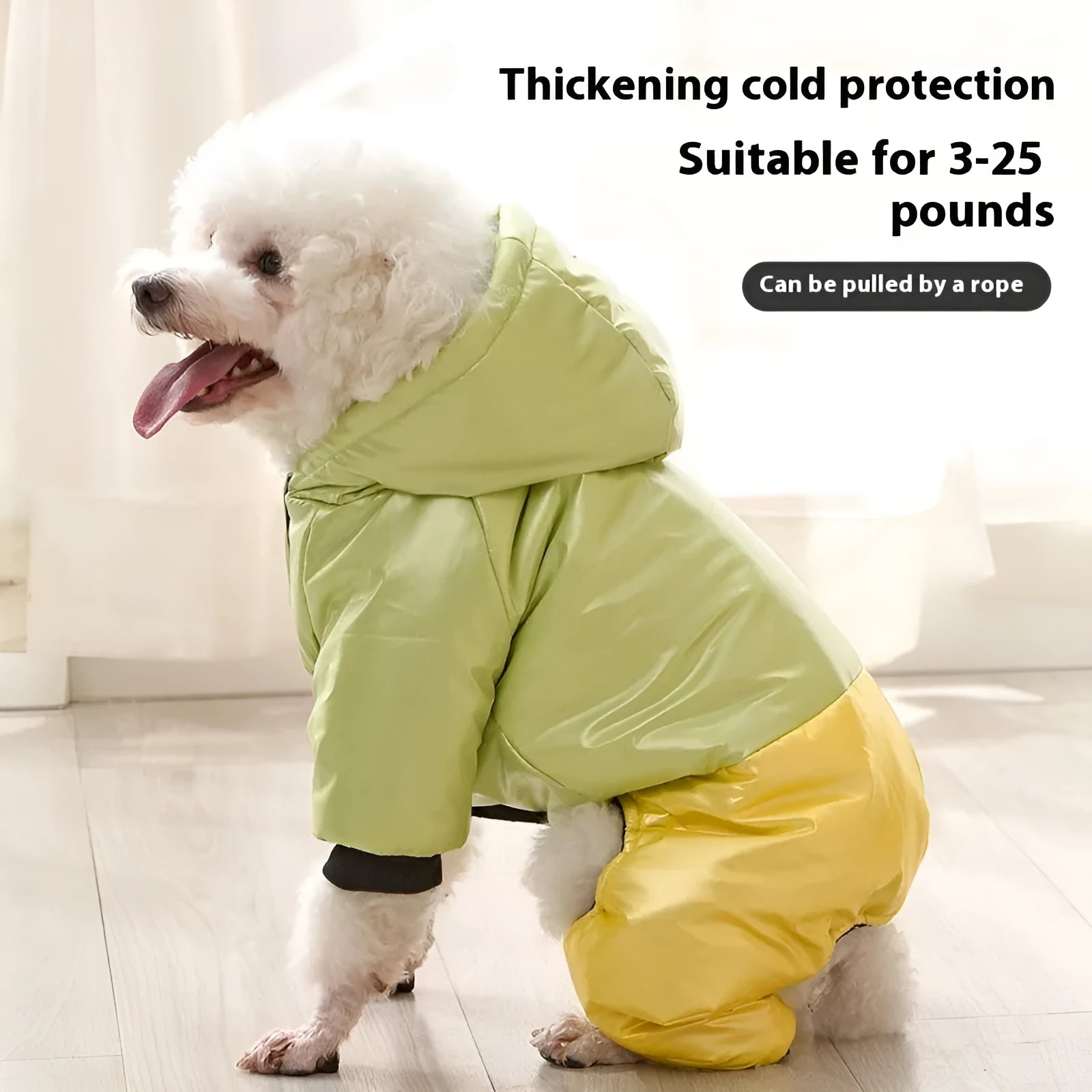 Green waterproof cotton dog coat on canine showing four-legged design and casual styling