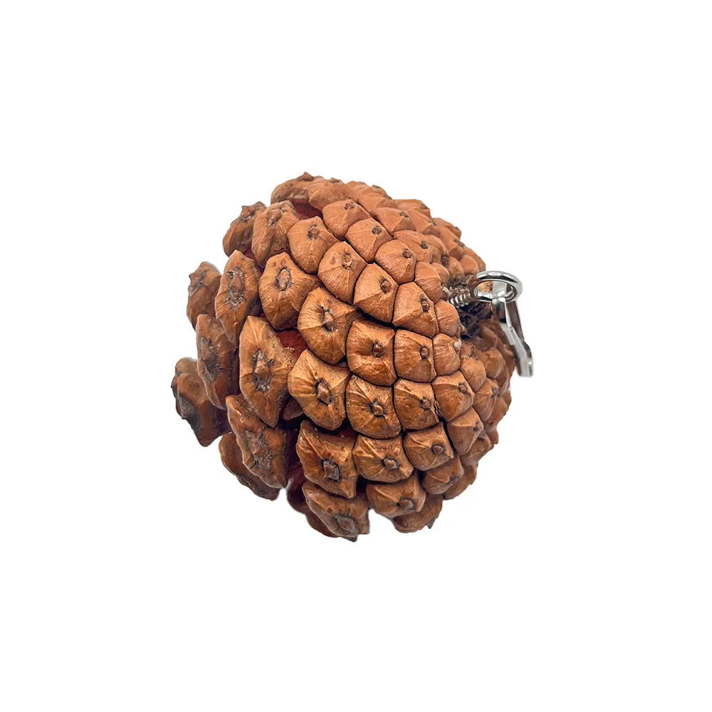 Natural pine cone parrot bite toy with metal stud and buckle, 5-6cm size, for hanging in bird cage