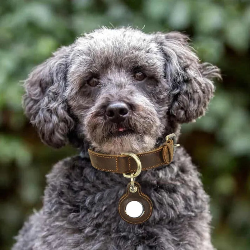 Brown handmade genuine cowhide leather dog collar shown on a flat surface.