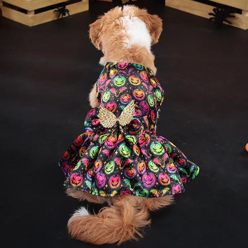 Halloween angel wings dog costume in bright pumpkin or bat colours