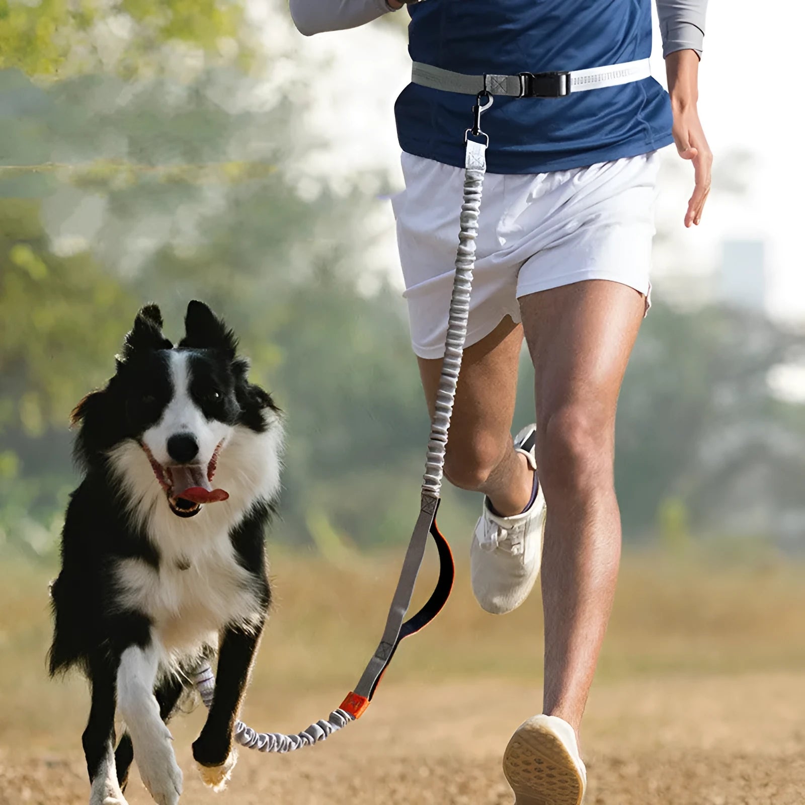 Pet outdoor running dog leash telescopic polyester foam handle fluorescent green 270g 2.5cm bandwidth