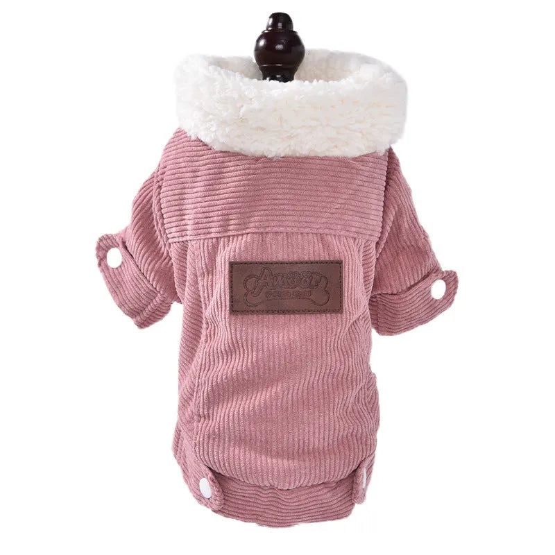 Grey lambswool dog vest with fleece lining for winter warmth, shown on a model dog.