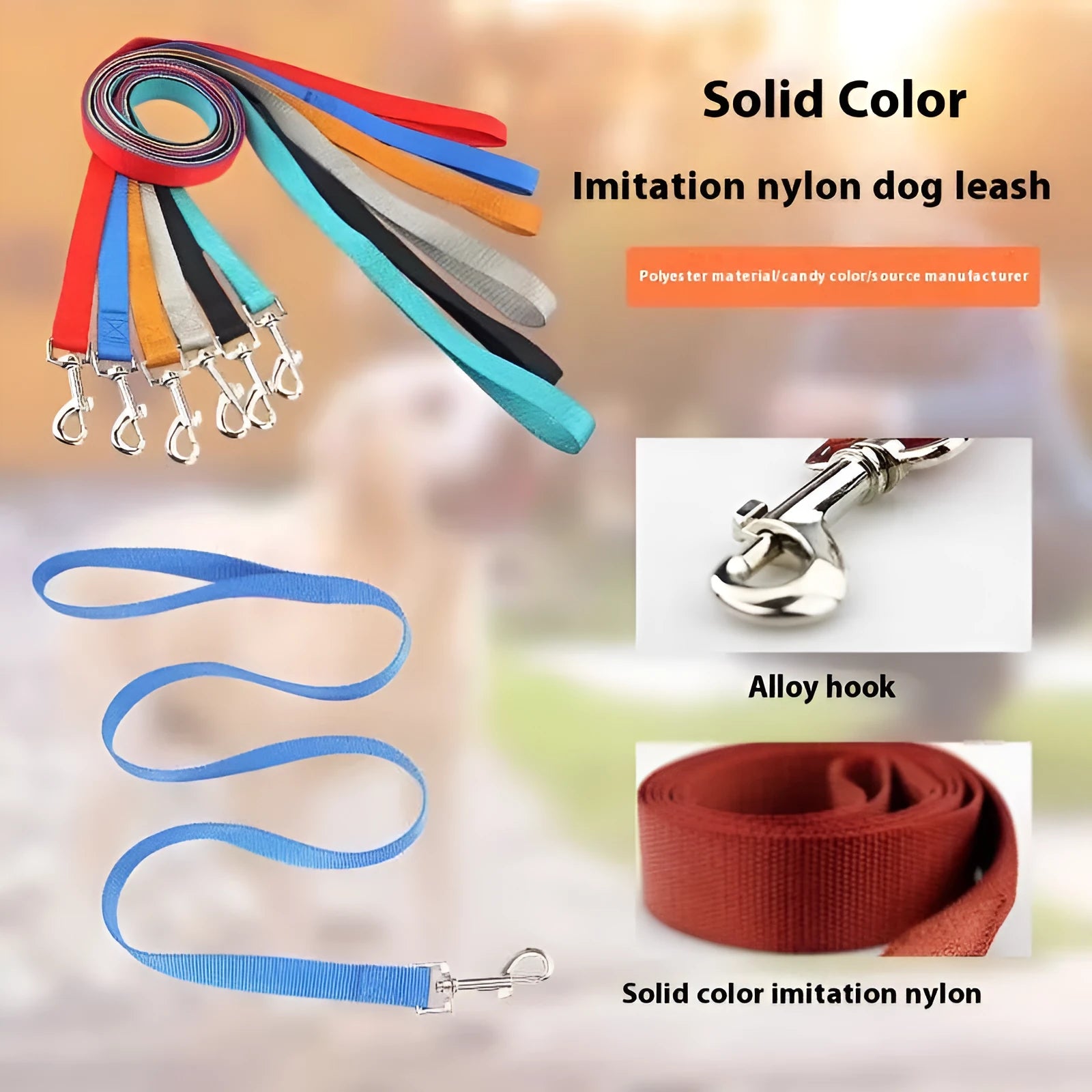 Solid colour polyester dog lead showing loop handle and single rope in one of twelve available colours.
