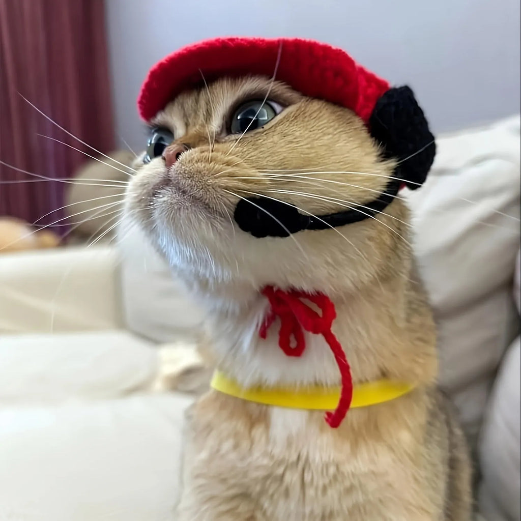Handmade cotton knitted pet chef hat costume on small dog with elastic neck base