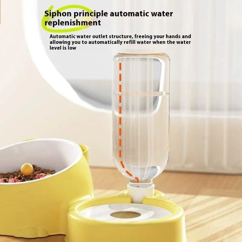 Automatic drinking pet basin with double stainless steel and ceramic bowls for cats.