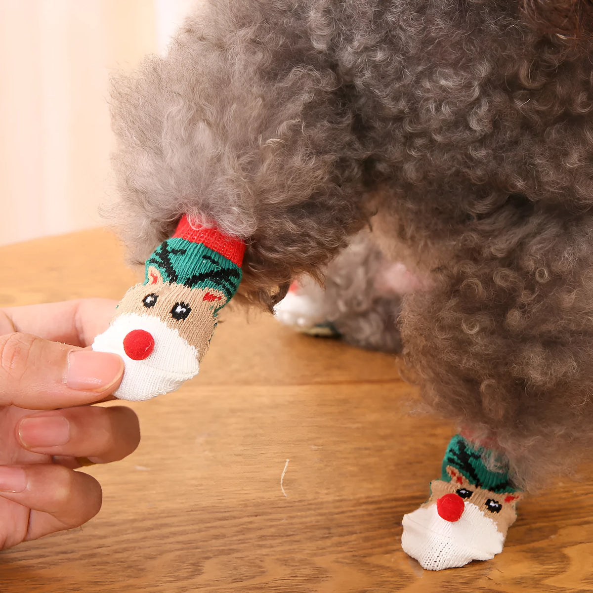 Set of four Christmas dog socks with Santa Claus and elk cartoon patterns in blue and red colours