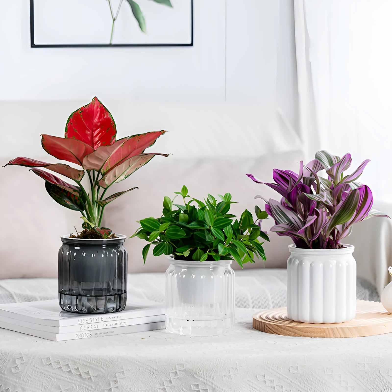 Self-absorbent transparent plastic resin flowerpot for desktop hydroponic planting of small green plants