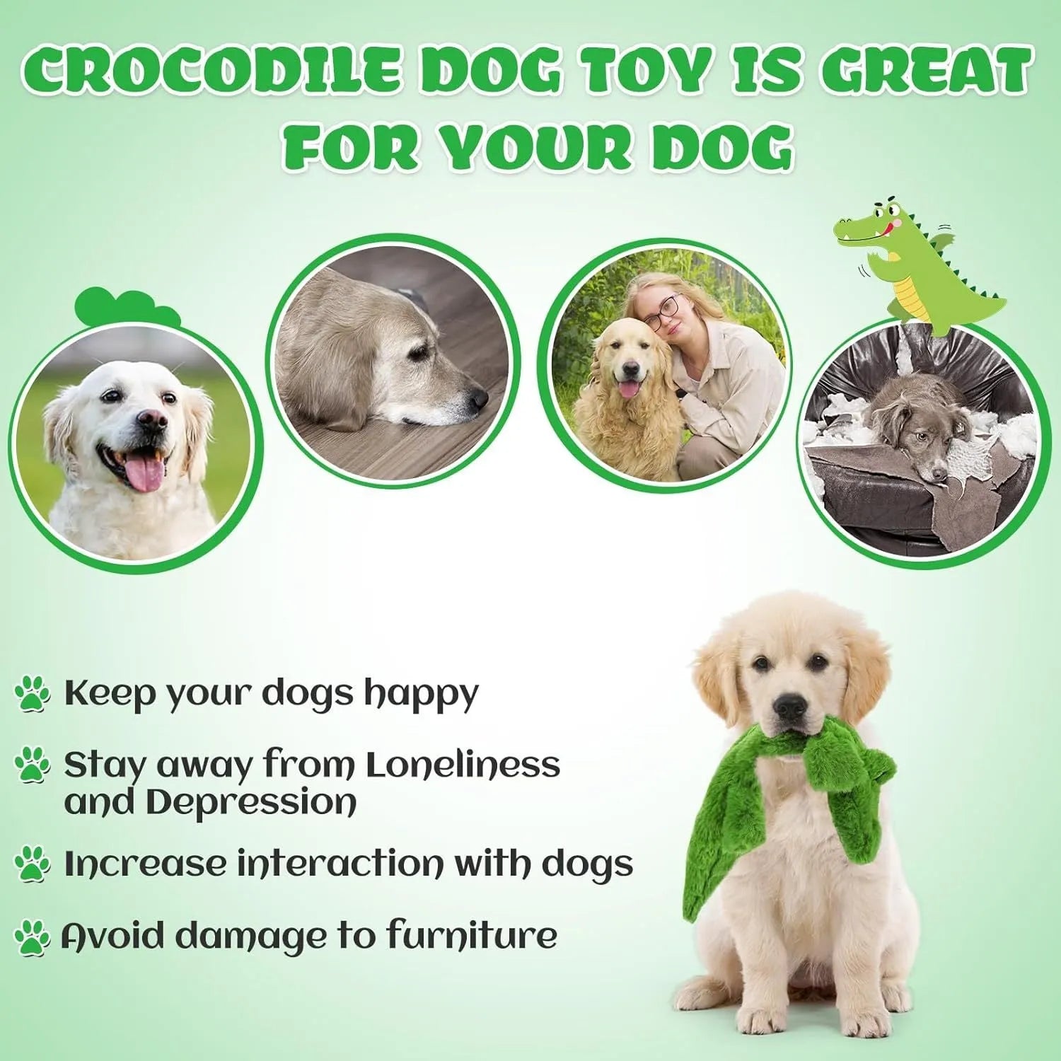 Green crocodile plush dog toy with squeaker and crinkle paper, no stuffing, for aggressive chewers.