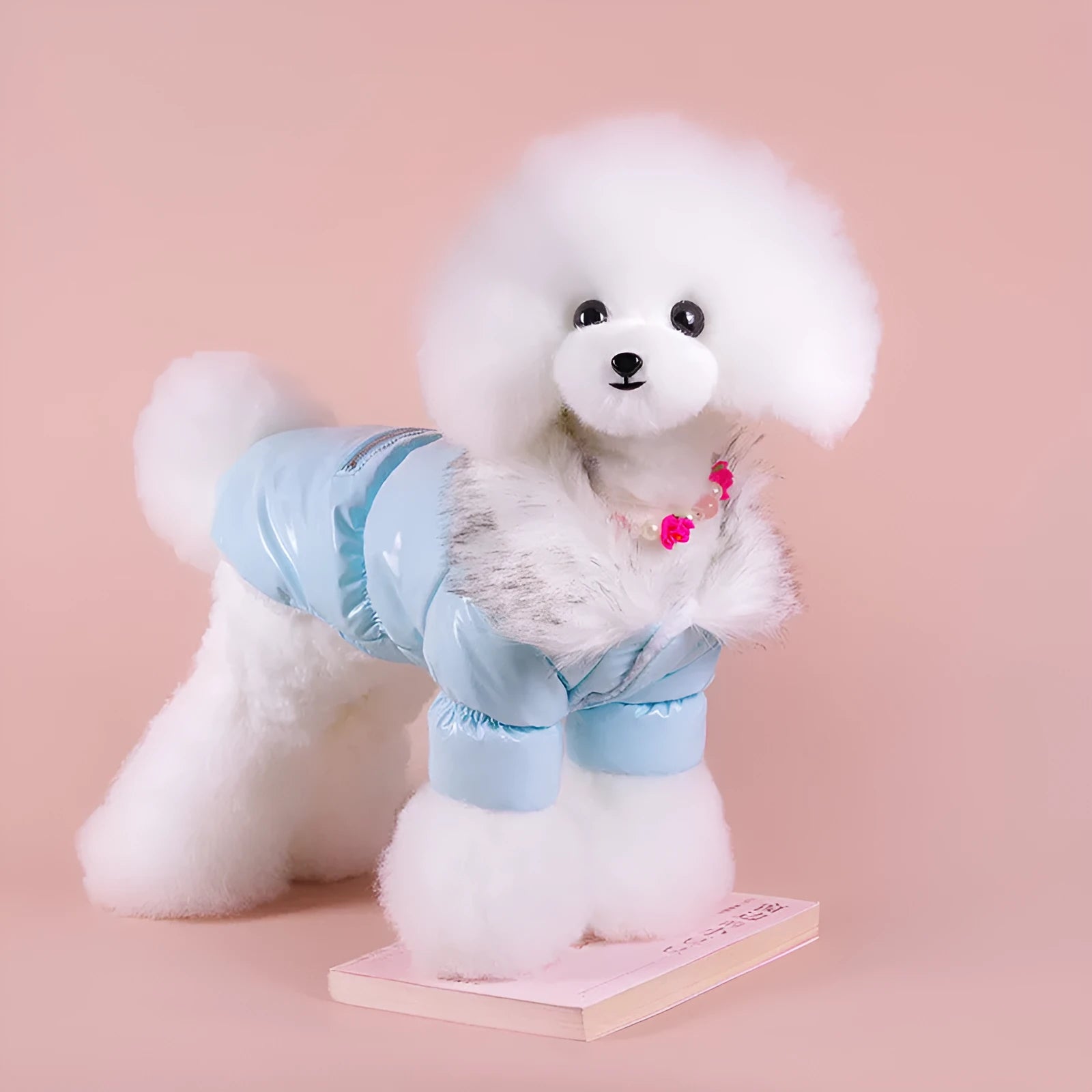 British style blue cotton dog jacket for winter warmth on a small dog, showing size and style.