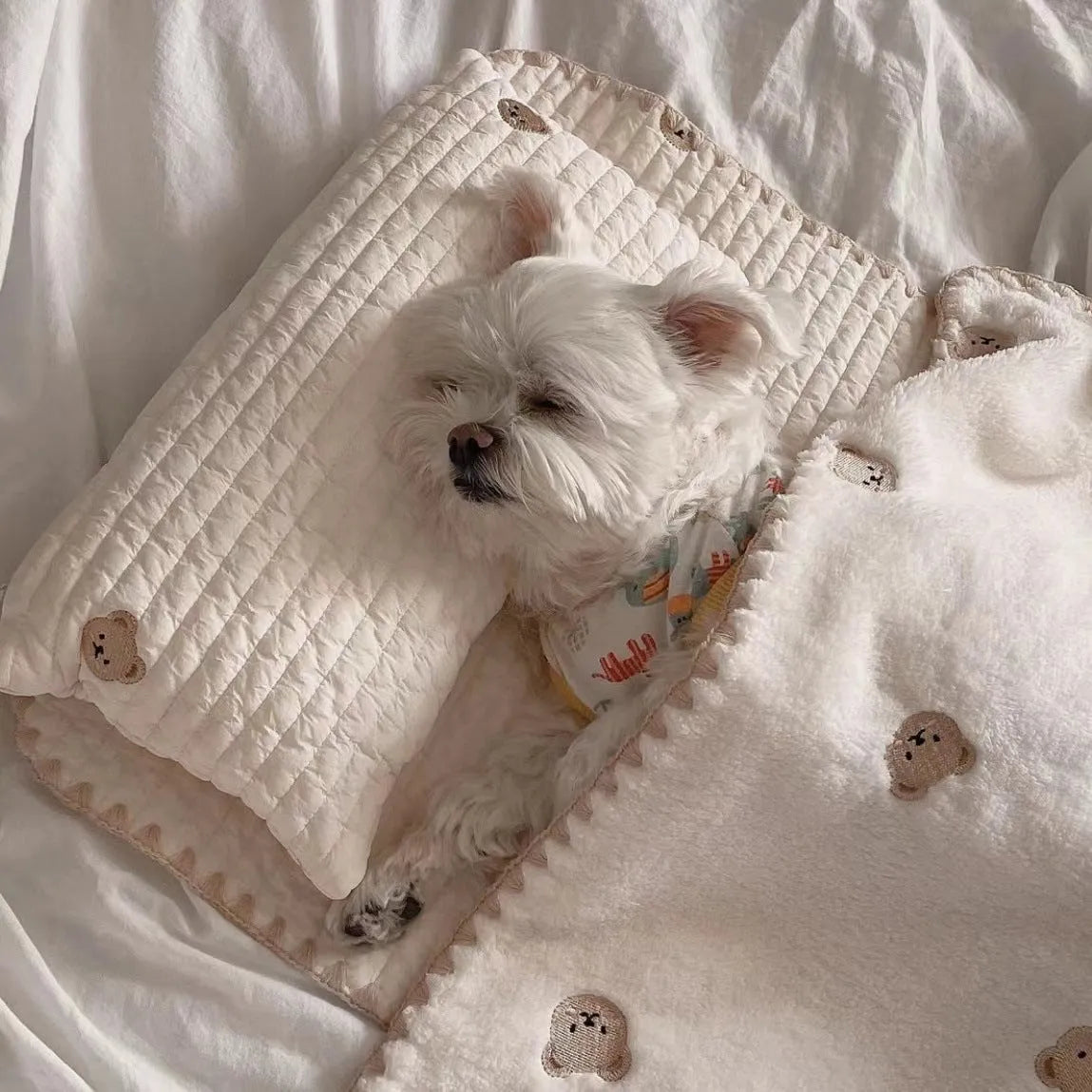 Simple Bear three-piece dog bed set with removable pillow, mattress and comforter in square mat format