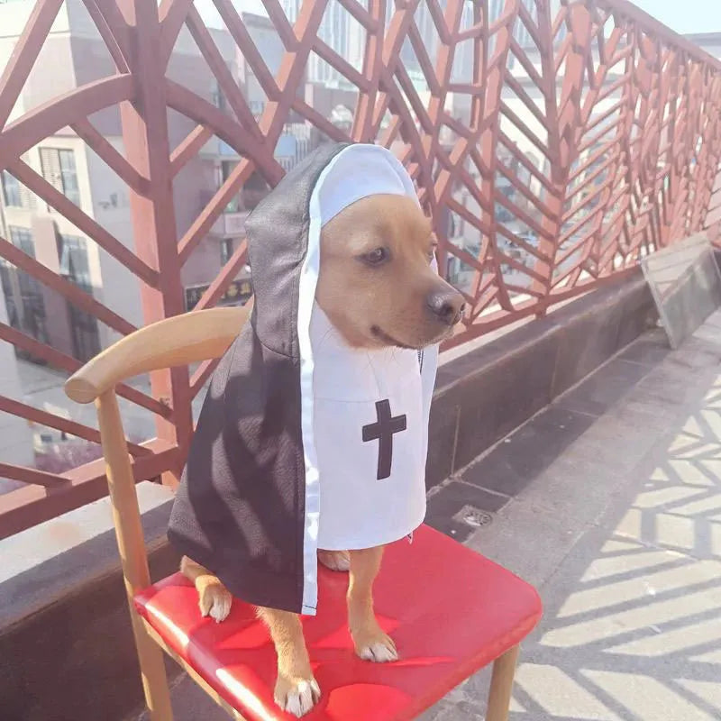 Black and white nun costume for small to medium dogs and cats with pullover design