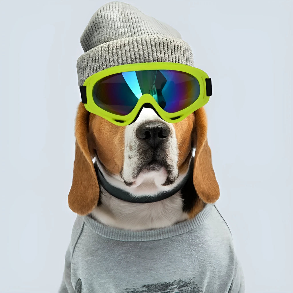 Outdoor dog sunglasses with UV400 protection, Class 2 sunshade lenses, full-frame PC construction, available in eleven colours including army green and black