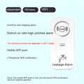 Independent wireless overflow sensor alarm for water leak detection in commercial and residential settings